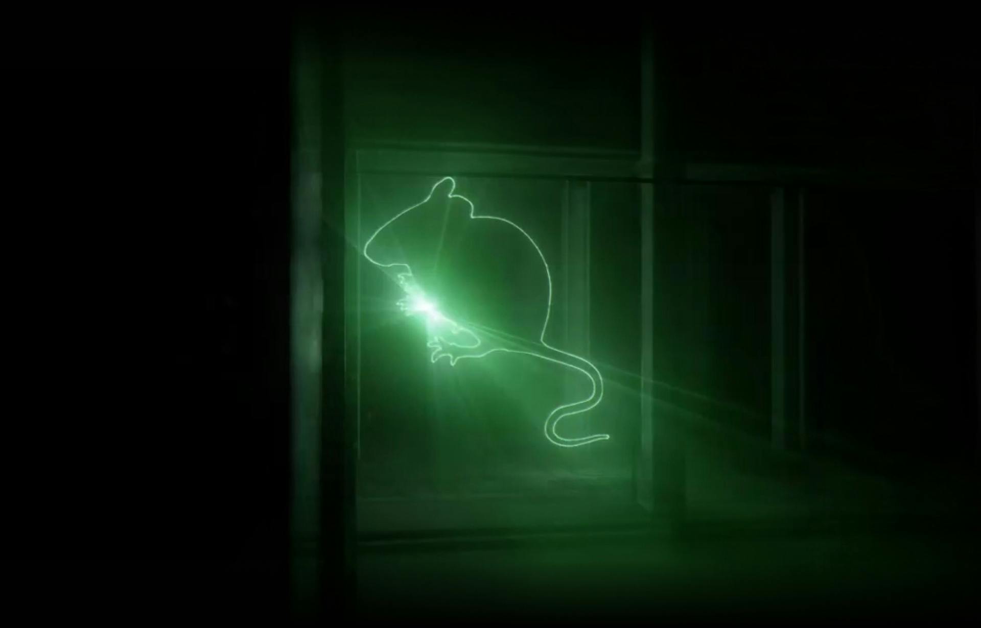 Mouseville Recordings